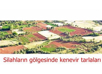 Diyarbakır – Bingöl arasında esrar tarlaları ve Kılıçdaroğlu'nun fişlenmesi...