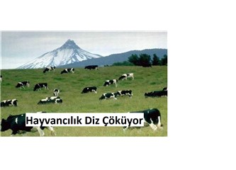 Ülker Sütün Gıda Tarım ve Hayvancılık Bakanlığına baskısı