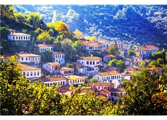 Şirince'de " Kıyamet Bereketi, " Levrek Gibi Karaya Vurdu...