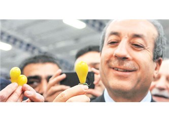 Antalya Domates Fuarında 'Yandaş' domates!