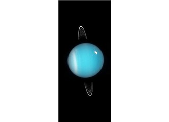 Büyük Travma geçiren İnsanlar bazen çok farklı olurlar