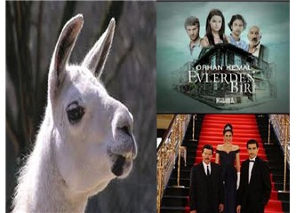 Orijinaline Tüküren ‘Uyar-Lama’lar…