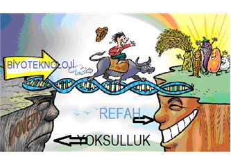 İslam aleminin GDO'ya olumlu yaklaşımı netleşiyor