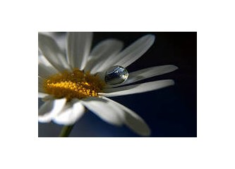 Koçluk mucizeler yaratır