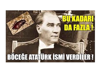 Böceğe Atatürk ismini veren 'böcek kafalılar...'