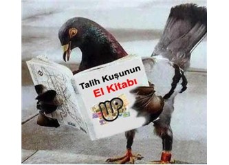 Talih Kuşu