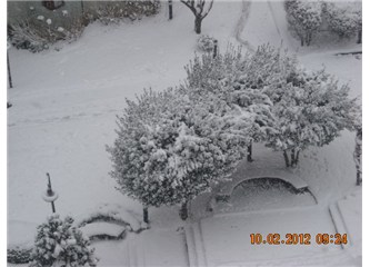 Yaşama son kez baktığı içindi o gözlerindeki ifade