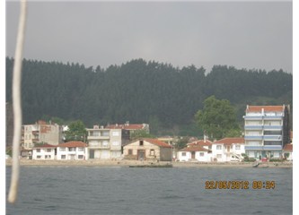Hayallerim, emeğim, yolum. (Kumbağ)