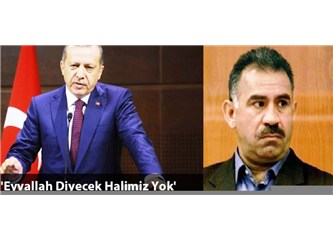 Öcalan’la görüşmelerin Kürt sorununa çözüm getireceğine inanmıyorum