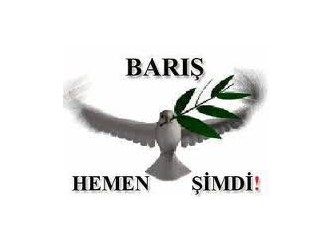 Kürtlerin özgürleşmesi, Türkleri de özgürleştirecek ama hangi Türkleri!