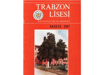 Tümce bilgisi örneklemeleri