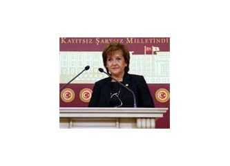 CHP'den Türklük Kürtlük gündemi