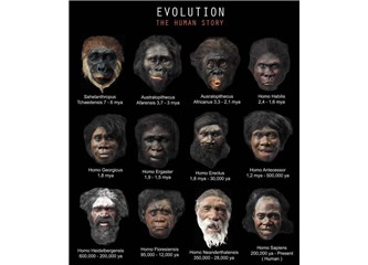 İnsanın evrimi