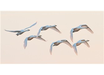 Benlik, senlik yok olsun