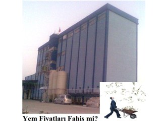 Tarsus Ziraat Odası Başkanı: Yem fabrikaları fahiş fiyattan yem satıyor