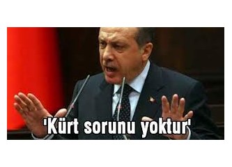 Başbakan Erdoğan'ın sıkıntısı, bir koltukta iki karpuz taşıma gayreti (Başkanlık ve PKK süreci)(2)