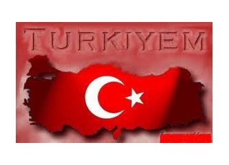 Türk sorunu- 2