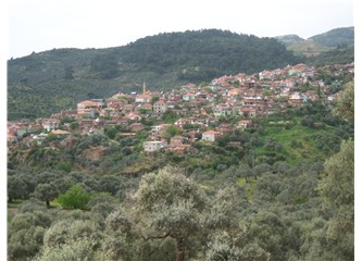 Aydın'da bir Köy Dağyeni