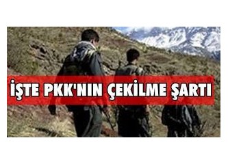 Terör örgütünün çekilme şartları...