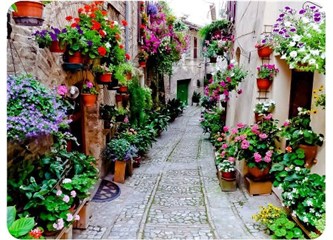 Cepten yemişiz mutluluğu