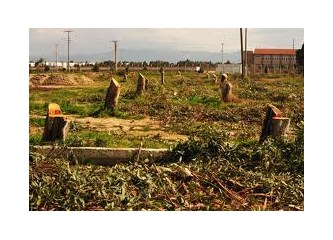 Doğa bilincinden yoksun aşkın bilincimizin ve varoluşumuzun içine tüküreyim e mi...