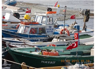 Olur ya