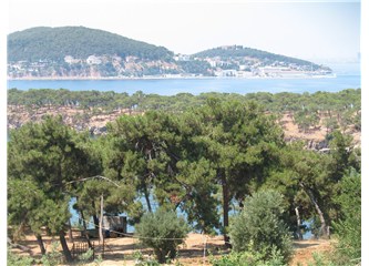 Haiku. 76 : Büyükada