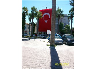 19 Mayıs