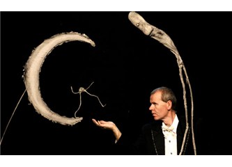 Kukla Ekonomisinden Atatürk Ekonomisine