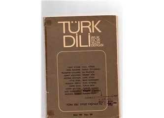 Türkçe Eğitim