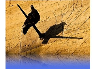 Kör ettik gözleri ve gör dedik