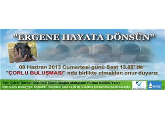 Ergene hayata dönsün: Çorlu buluşması
