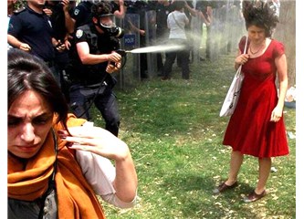 Gezi Parkı Direnişi; "Karanfile kan damladı"