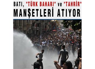 Aman dikkat! Batı durduk yere Gezi Parkı için Türk Milletine destek vermez