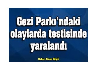 Taksim Gezi için sosyal medyada 17 yalan haber varmış! Ya kaç gerçek vardı?