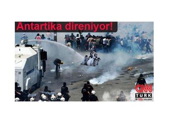 Taksim olaylarını es geçip 'Penguen' belgeseli yayınlayan kanala halk tepki gösteriyor...