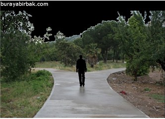 Yol ayırımı (son bölüm)