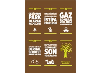 Gezi parkı, gençlerin haysiyet mücadelesi...