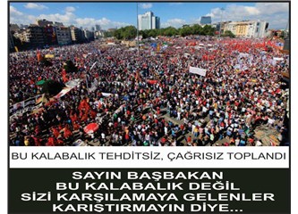 DAYI MISIN TAYYİP BEY?