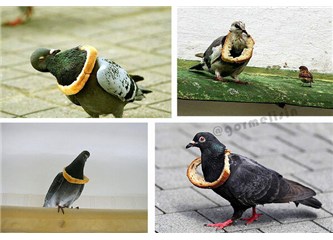 Gezi Parkı bilançosu