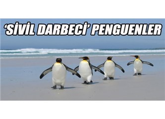 Sivil darbeci penguenler...