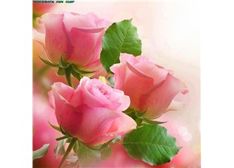 Başbakan Erdoğan 'Şark kurnazı' anlayışı ile Türkiye'yi yalnızlığa mı itiyor?