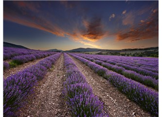 Fransa’nın Güneyindeki Muhteşem Bölge: Provence