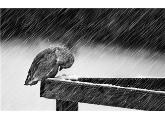 Hayata sevgiyle direniyorum