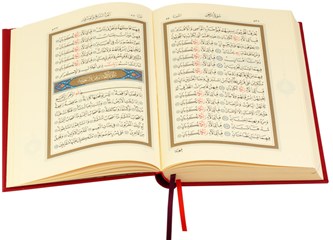 Kuran'da olmayan konular