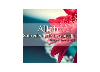 Batı'nın üretip insanlığa sunduğu acımasız boş değerler
