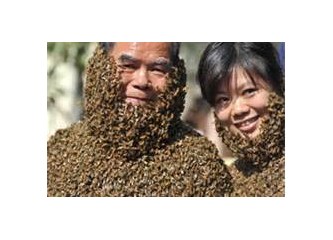 Eğitimli arılar(!) nasıl kullanılır?