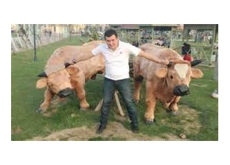 Kapasiteniz izin vermediği halde güçlü olmaya çalışmak ne kadar doğru?