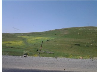 Nefretimizin aslıdır savaşlarınız