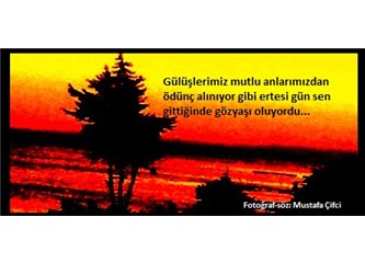 Hayatı anlamak